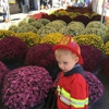 Nashville Farmers' Market