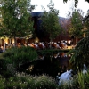 Norton Simon Cafe