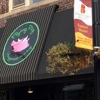 Flying Pig Treat Shop