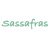 Sassafras