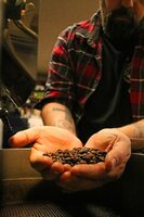 Beans of Paradise Coffee Roasting