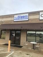 The Bloom Coffee Roasters